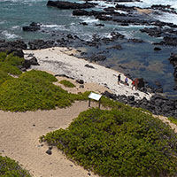 Kaena Point Eco Survey, 2011